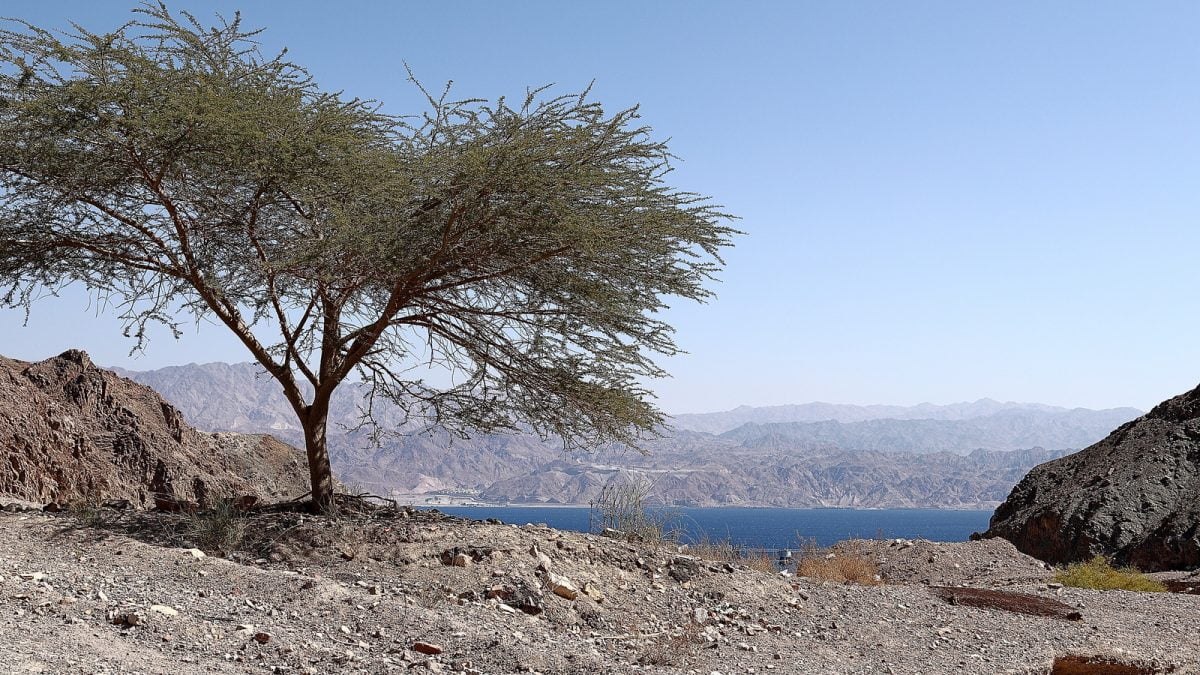 נחל שלמה באילת