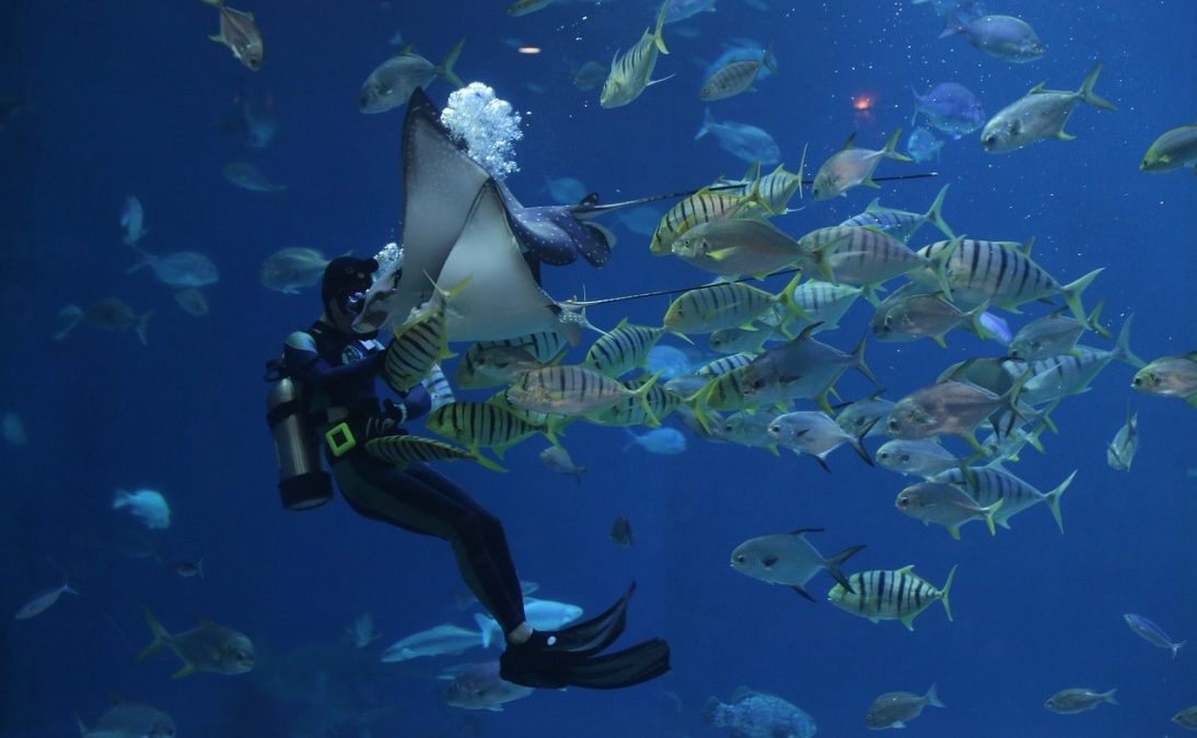 קפיצה לעבר הכיף!