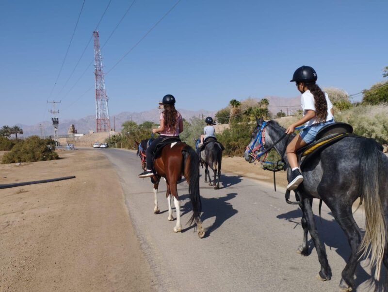 רכיבת סוסים באילת