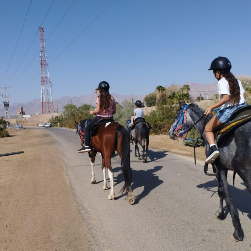 רכיבת סוסים באילת